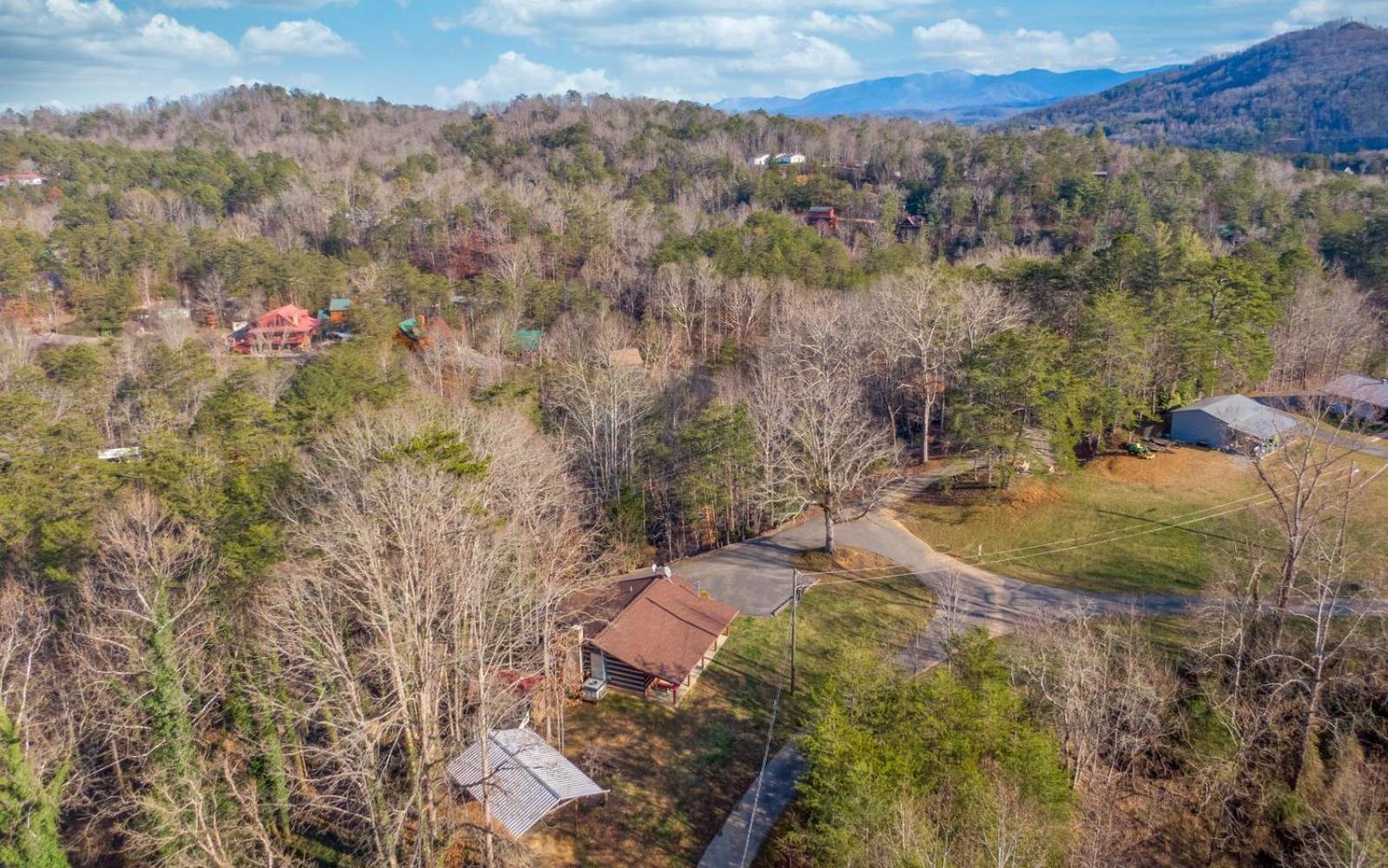 Wooded Bliss Hot Tub Single Level Cabin With No Steps Rocking Chairs And Wooded Views Pigeon Forge Exteriör bild